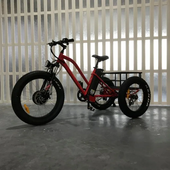  2019 жира грузовых шин 500w переднее мотор 3-х колесный Электрический велосипед для