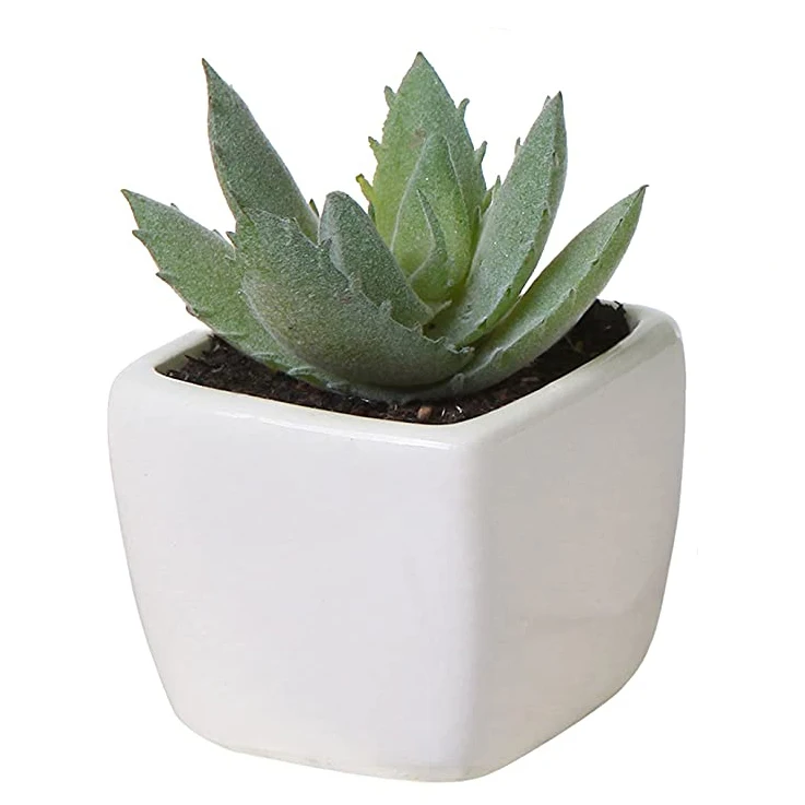 top seller artificial plants plastic succulent plant faux aloe mini small  bonsai in pot for office