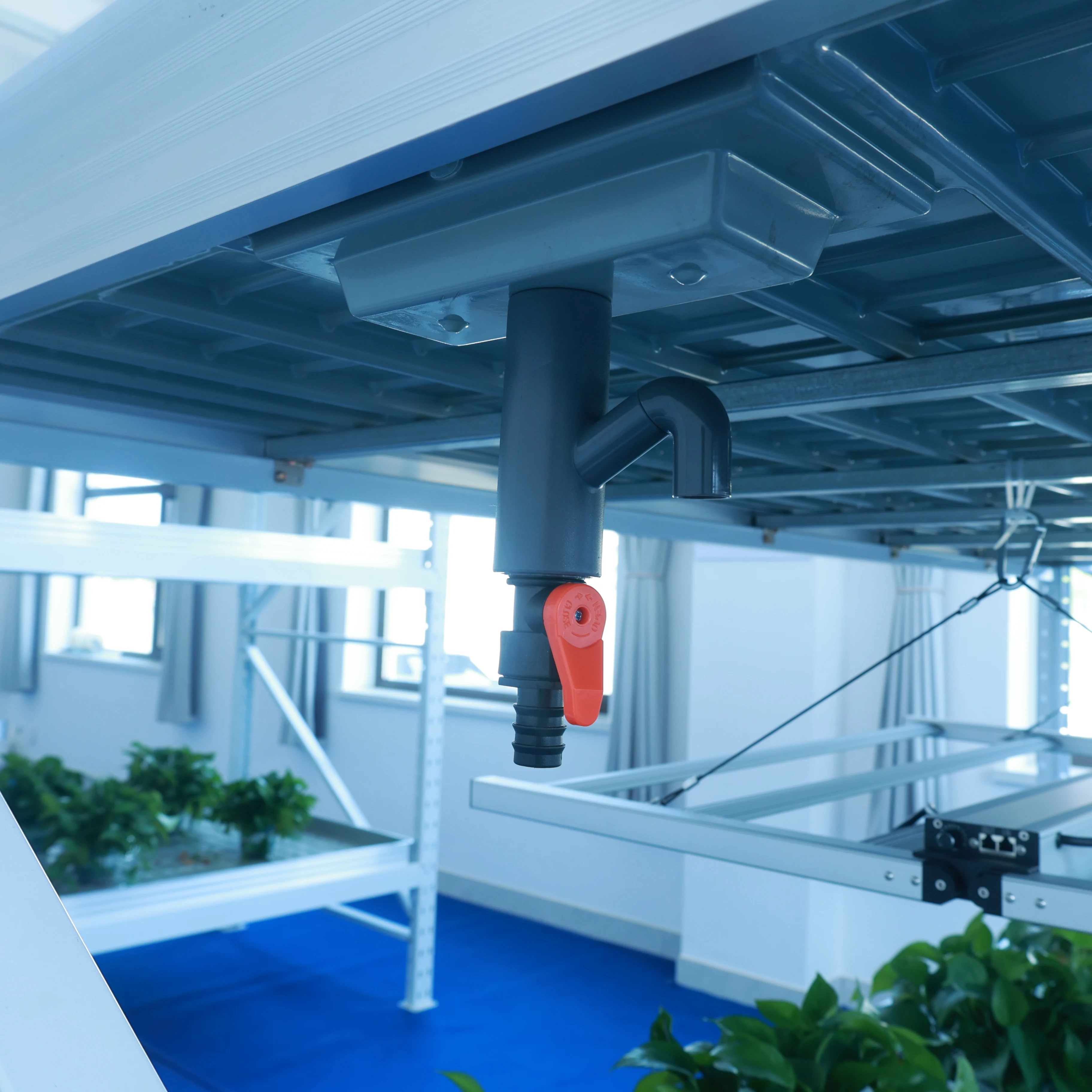 greenhouse nursery seedbed grow bed grow table grow rack rolling benches