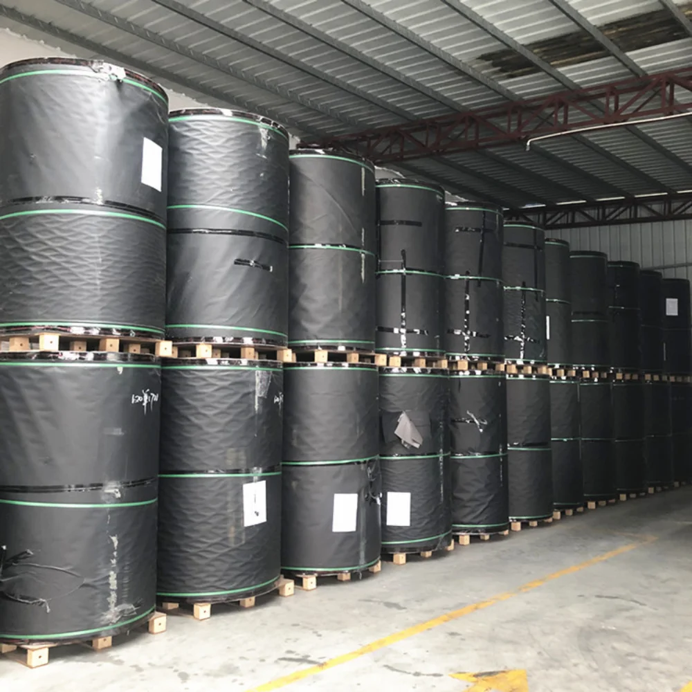 Твердая и твердая гладкая поверхность 310gsm A4 листовая бумага с черным сердечником