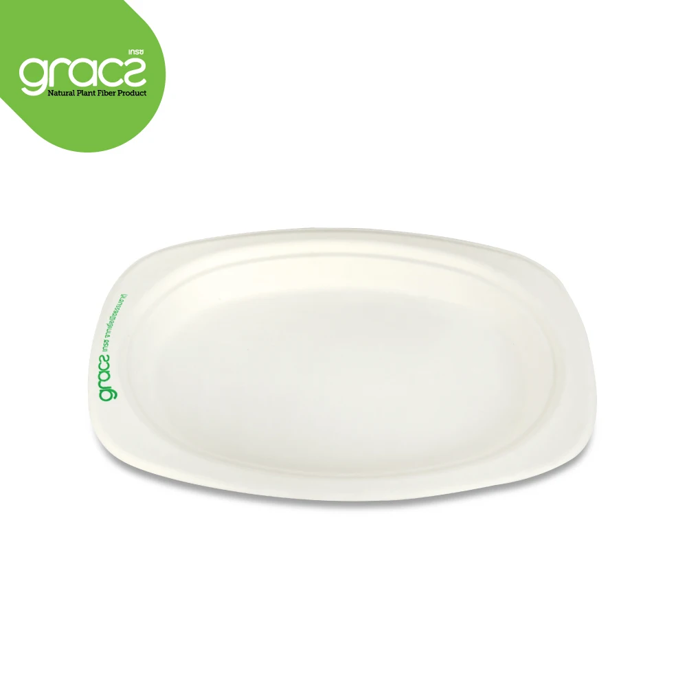 
Gracz P009 Oval Plate 6.5 inch Food Containers Sugarcane Pulp Packaging Compost from Thailand 