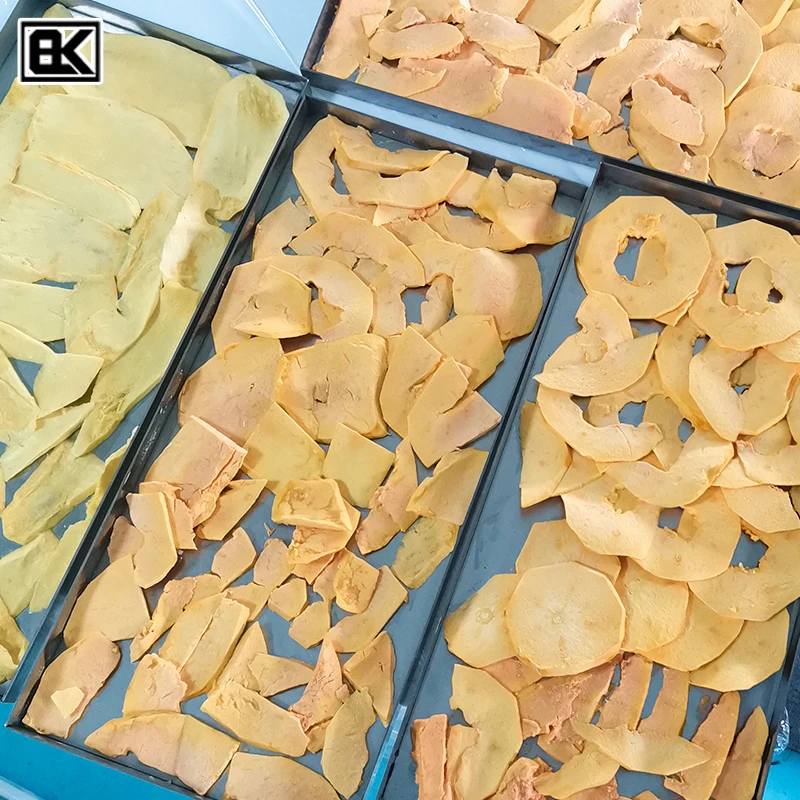 Reasonable Price freeze dried instant tea longan radish juice powder cabbage fruit potato mini home freeze drying machine//