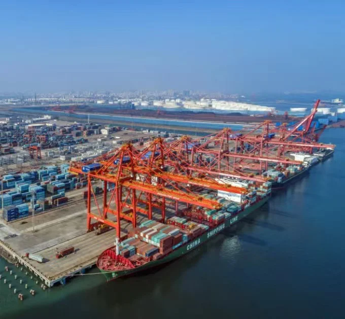 Logistics Company DDP Door to Door Sea Shipping from China to USA Professional Sea Freight Forwarder USA CANADA FBA