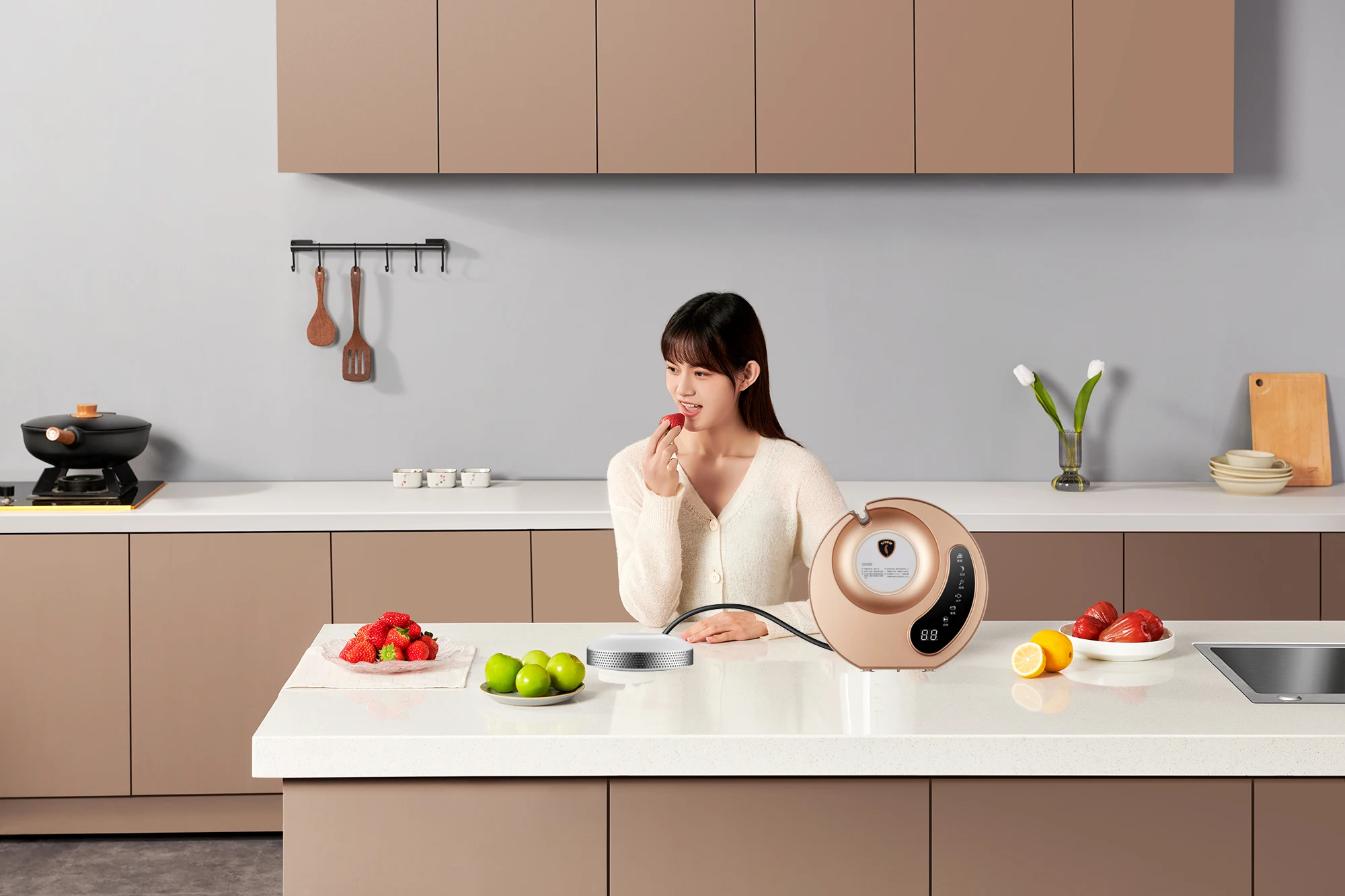 Manufactory Tabletop Ozone Technology Touch Screen Virus Washing Gold Food Cleaner Vegetable Washer