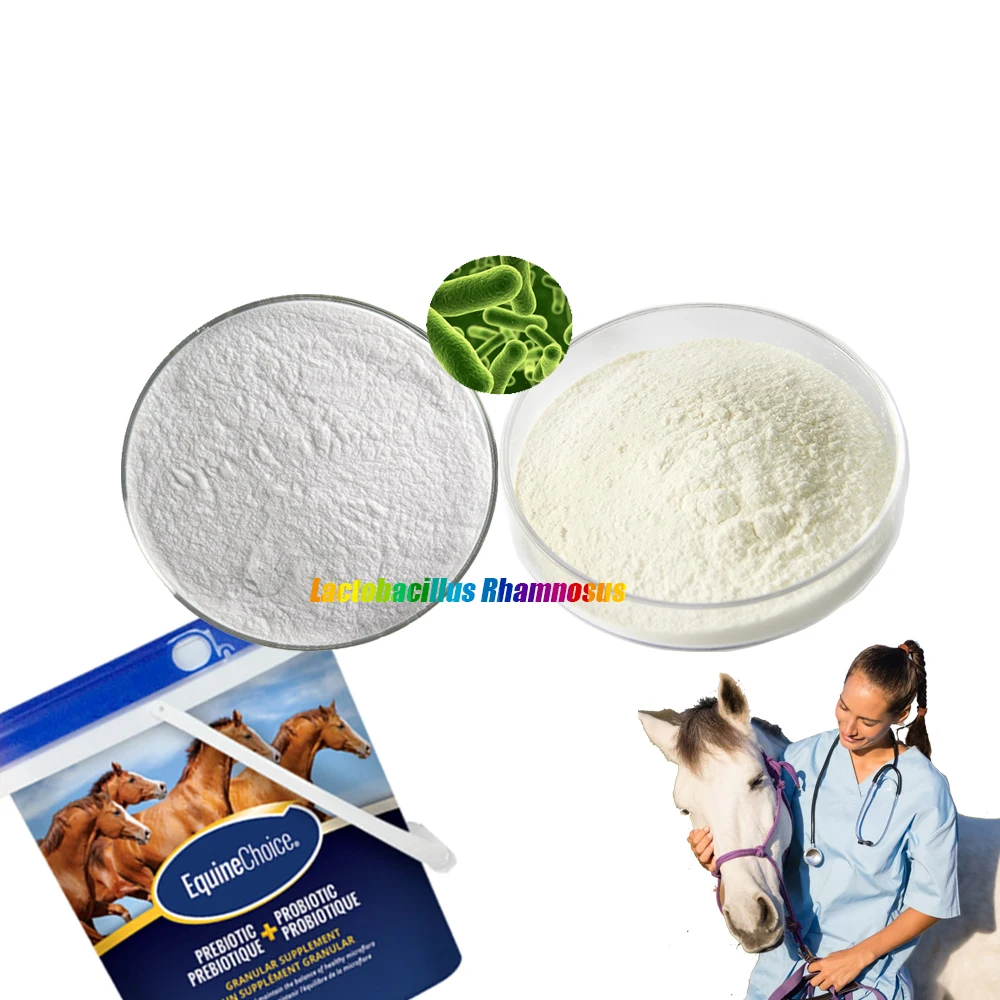 Cheap Freeze dried probiotics powder of Lactobacillus rhamnosus do probiotics digestive supplement vitamins for dog cat