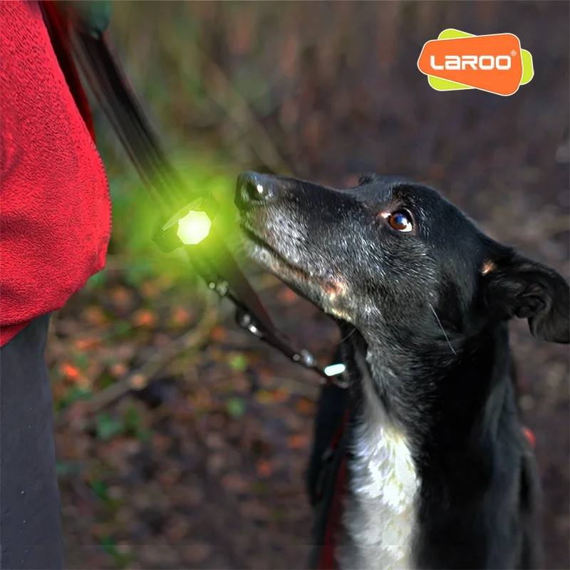 LaRoo High Quality best Price Usb Rechargeable Light Up Flashing Glowing Adjustable Led Pet Dog Collar
