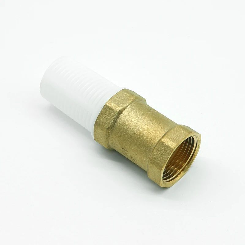 BT5003 high quality brass vertical spring check valve