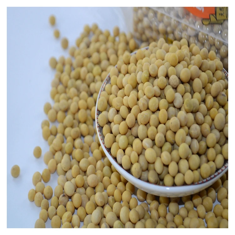 
Factory supply attractive price Yellow Soya Bean common yellow mung bean 