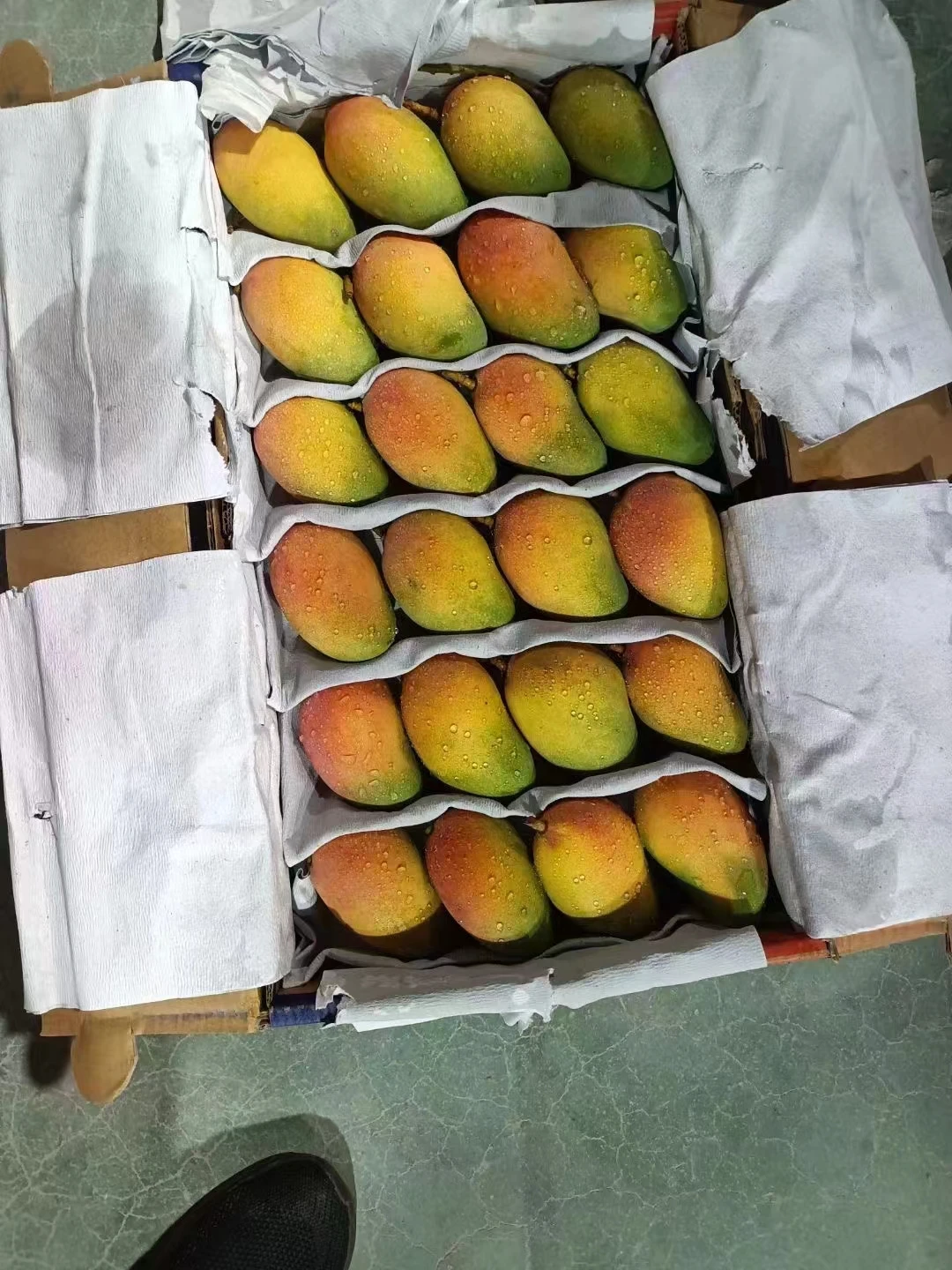 Sweet Juicy High Quality Wholesale Fresh Mango Fruit Hot Sale Seasonal Fruit from China