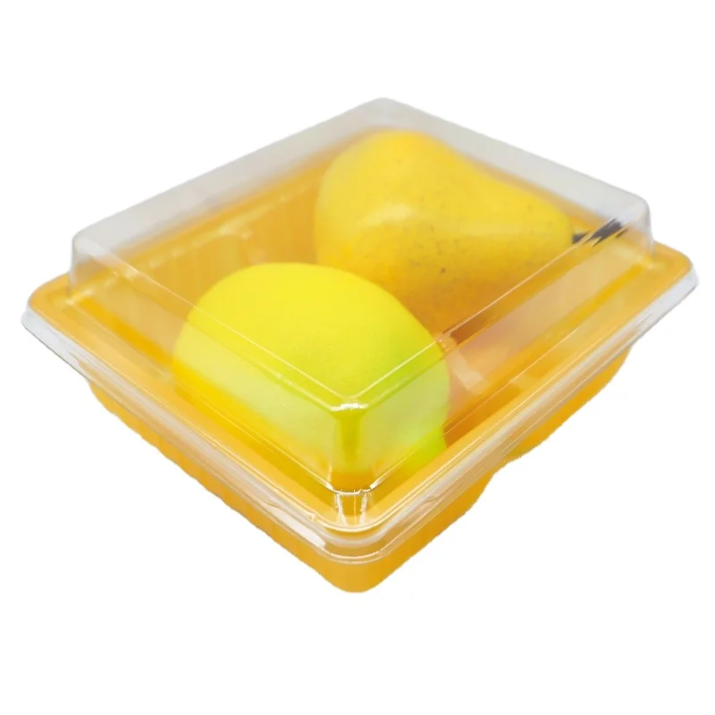 Fast Food Storage Container Plastic vegetable tray with lid Sushi Box Chinese Pattern