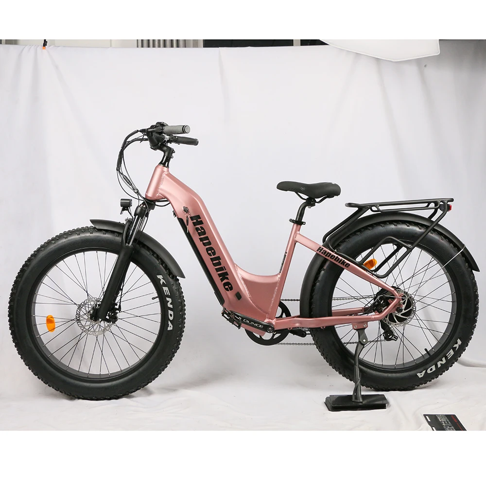 48V 20ah lithium battery with dual 500w rear hub motor e bikes electric bicycle   e-bicycle e-bike electric bicycle