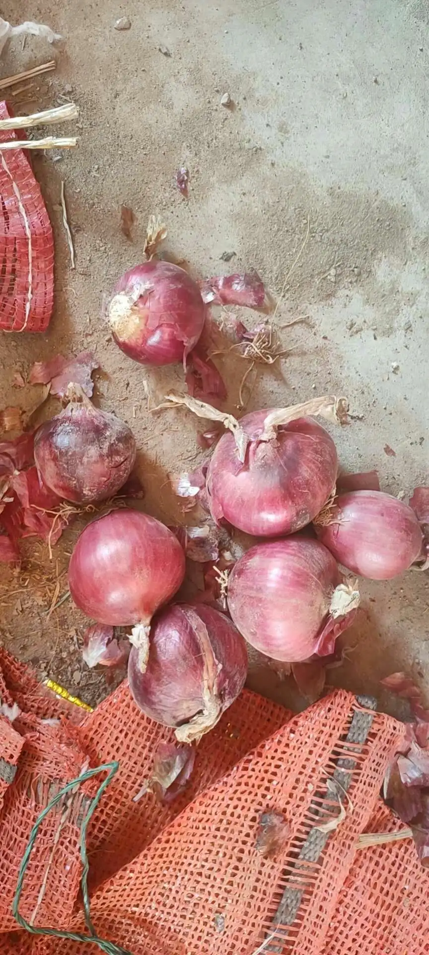 
chinese fresh red onion 