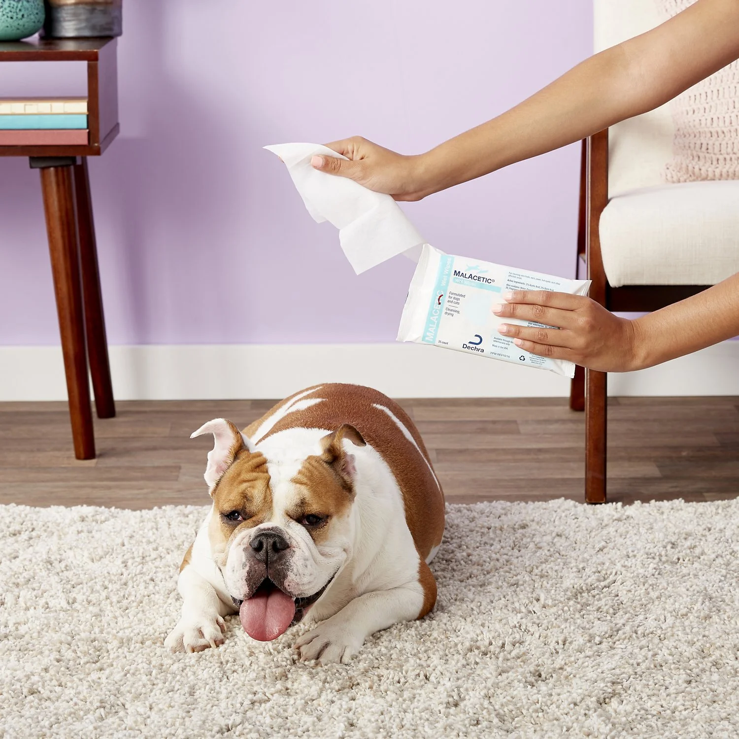 Natte Doekjes Sterilize Islak Mendil Cat Puppy Paw Wipes