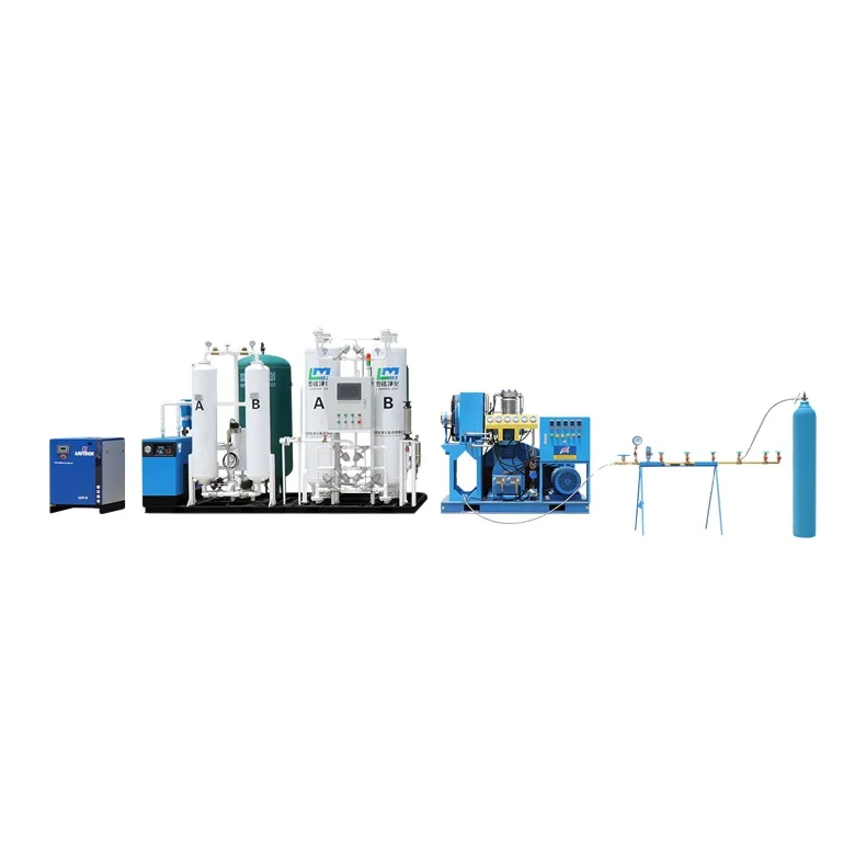 Gas Generation Equipment Oxgen Plant Hospital PSA Oxygen Generator for Cylinder Filling