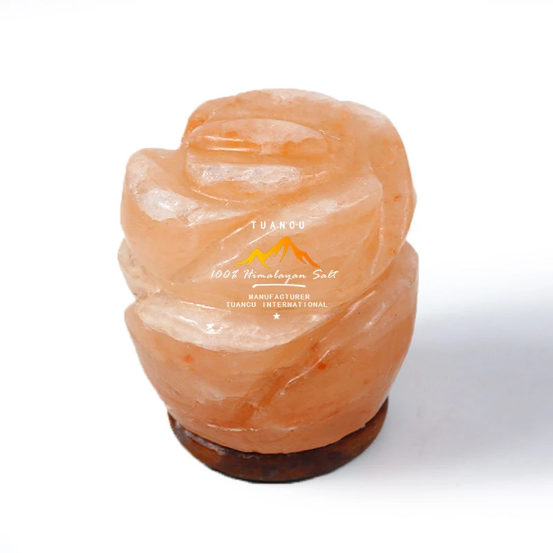 TUANCU Orange Light Healthy 100% Natural Himalayan Mini Flower USB Rock Crystal Salt Lamp