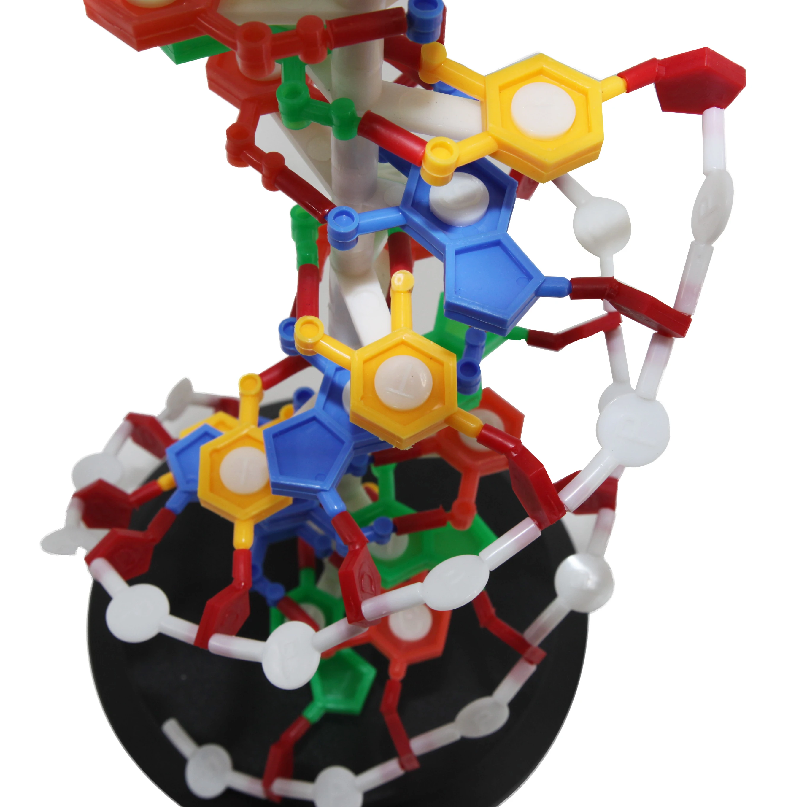 Модель ДНК биология образовательная анатомическая пластиковая ДНК-структура модель медицинская модель