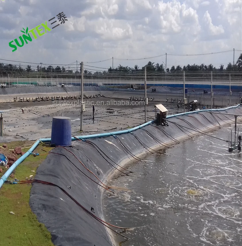 Uv stabilized shrimp fish farming pond liners protection rpe pool liners reinforced polyethylene geomembrane