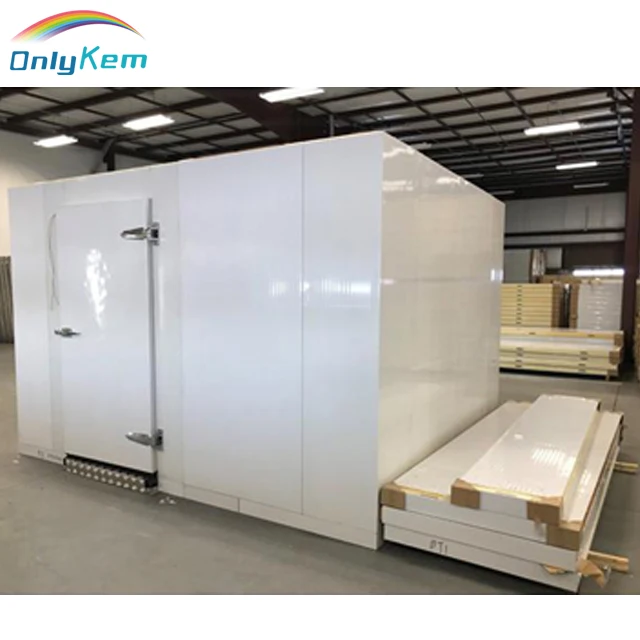 Walk in Freezer Room Low Temperature/walk Cold for Frozen Meat
