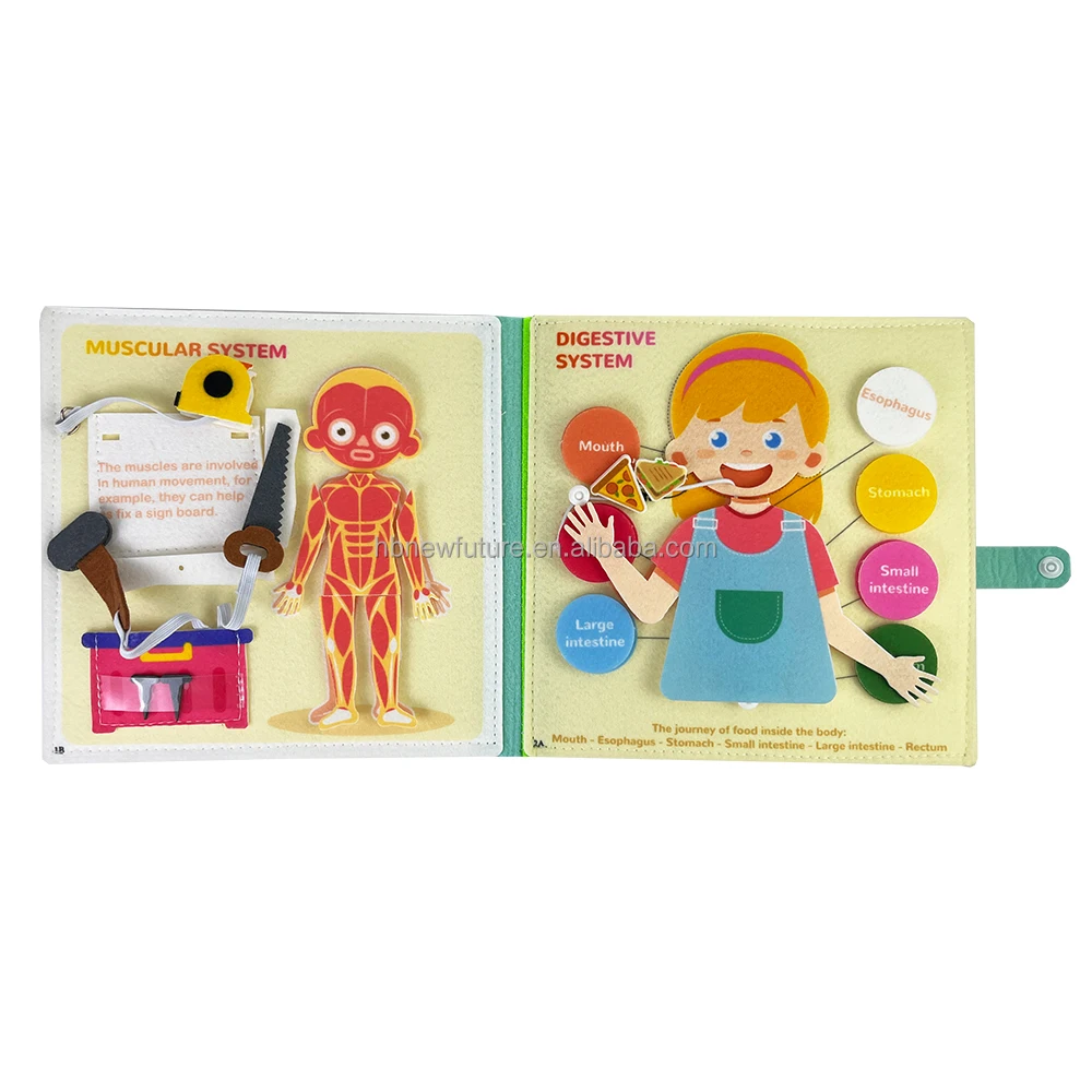 New Design busy book Early childhood education fabric science Human body Anatomy books learning about body structure for kids