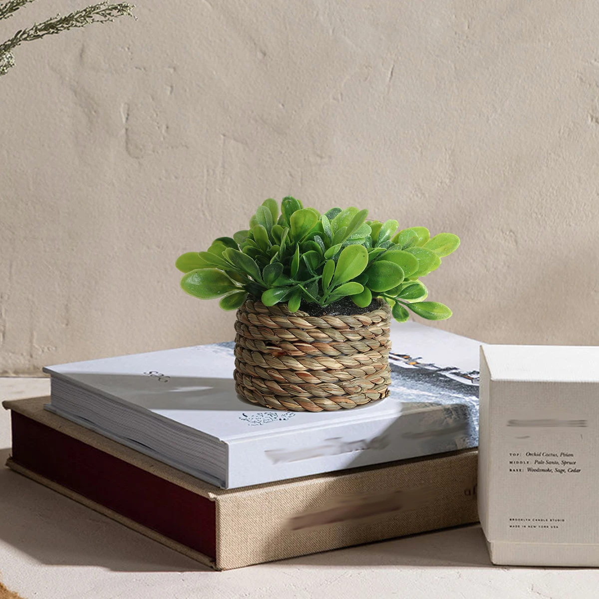 H202450 Hot Sale Mini Bonsai Crafts Mini Succulent Plant Models Artificial Succulent Ornament Artificial Plant in Pot