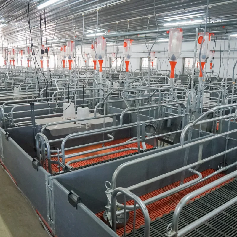 Farrowing Pens Pig Farming Completely Pig Farm Flooring System Farrowing Pen Sow Slat