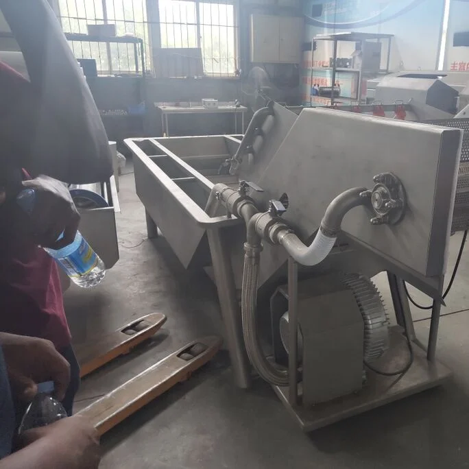 Fruit and Vegetable Air Bubble Washing Machine Eggplant Vegetable Washer Machine with Water Spray