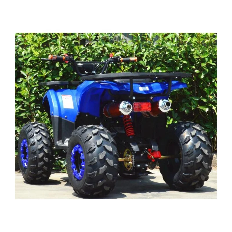 High Quality Beach Buggy Motorcycle 110cc 4 Wheeler Gas ATVS For Kids Adults