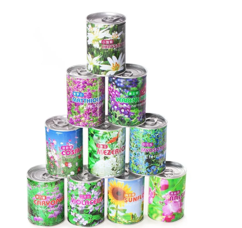 Customized Indoor Herb Garden Starter Kit , planting jar, mini vegetable can  ,  flower for work desk