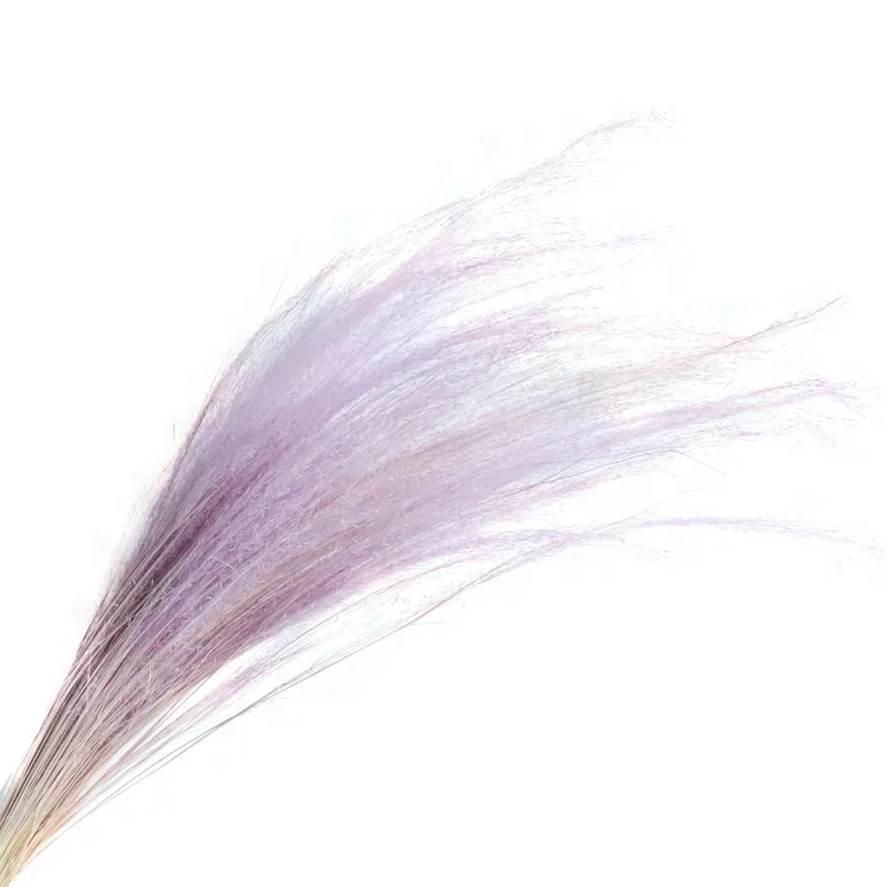 Newest Hot Selling High Quality Preserved flower FEN DAI Virgatus for Wedding Wall Decoration & Office Desk Decoration