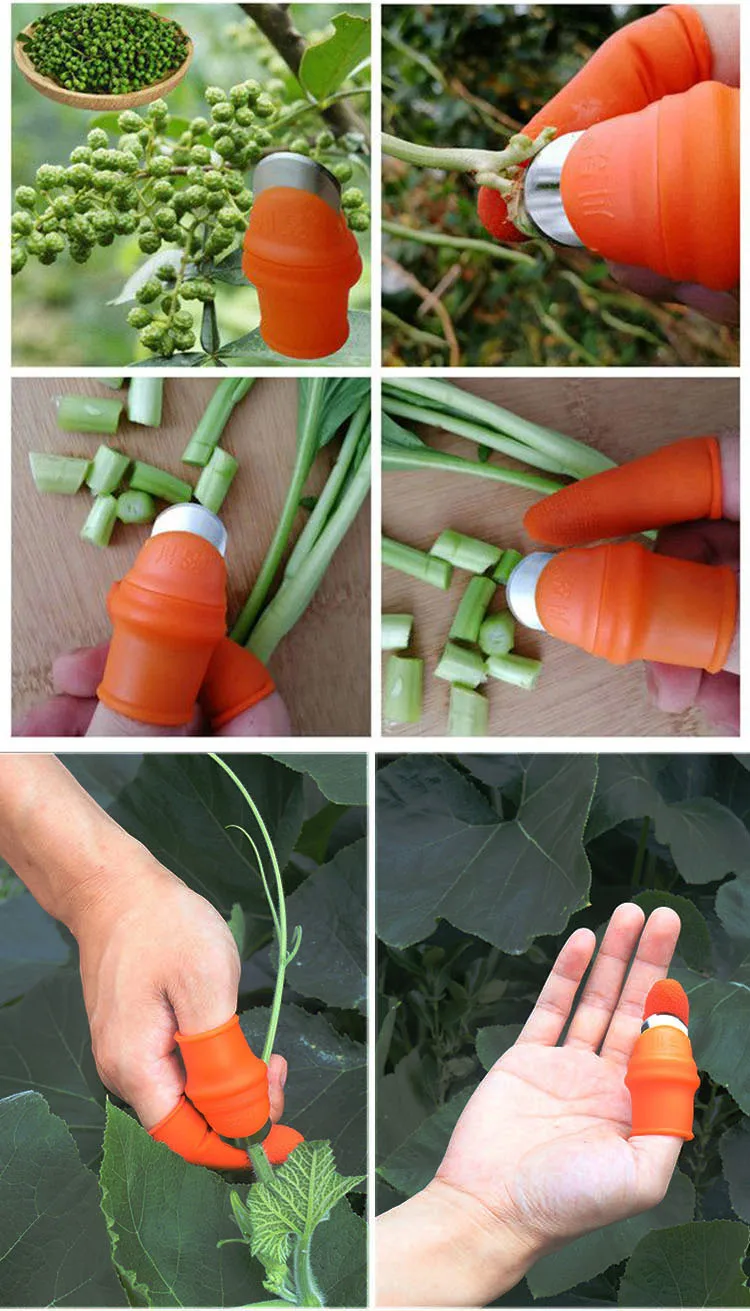 Maternal finger knife pepper picking , iron fingernail picking beans, horns, tea, grapes, vegetables, for fruit cutter