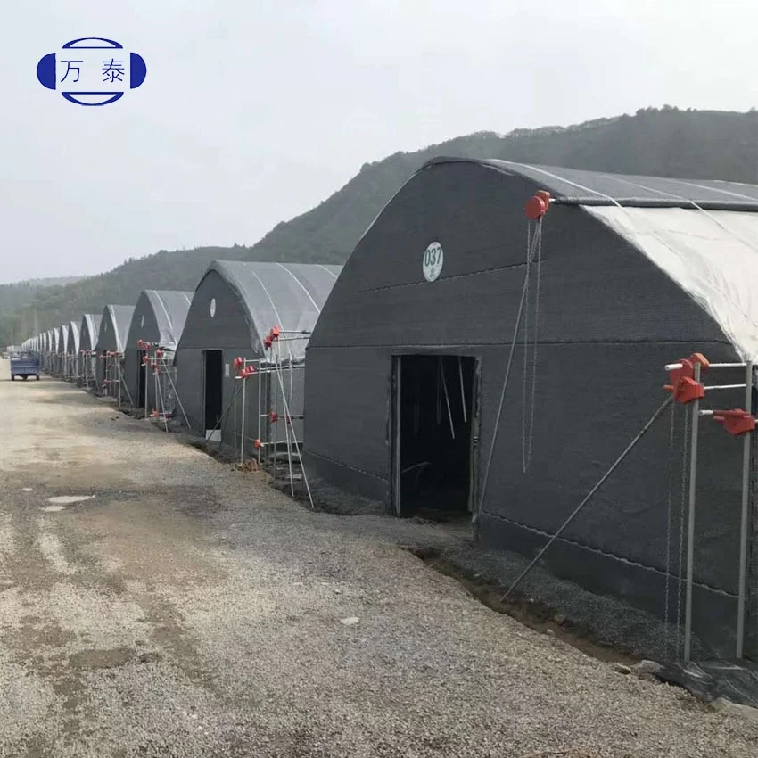 
Best selling agaricus bisporus growing net mushroom planting net mushroom cultivation nets greenhouse film 