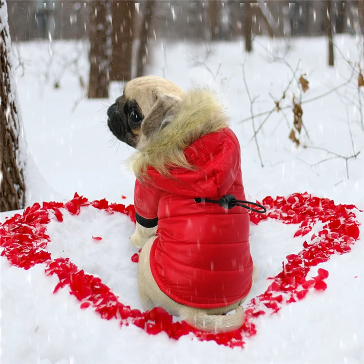 Manufacturer Wholesale Small Pet Down Jacket Warm Button Design Cotton Winter Dog Jacket