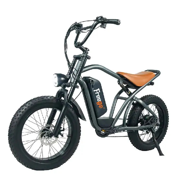 Manufacture 750w Electric Bicycle Lithium Battery Aluminum Frame 20inch Wheel Size Electric Mountain Bicycle Bike