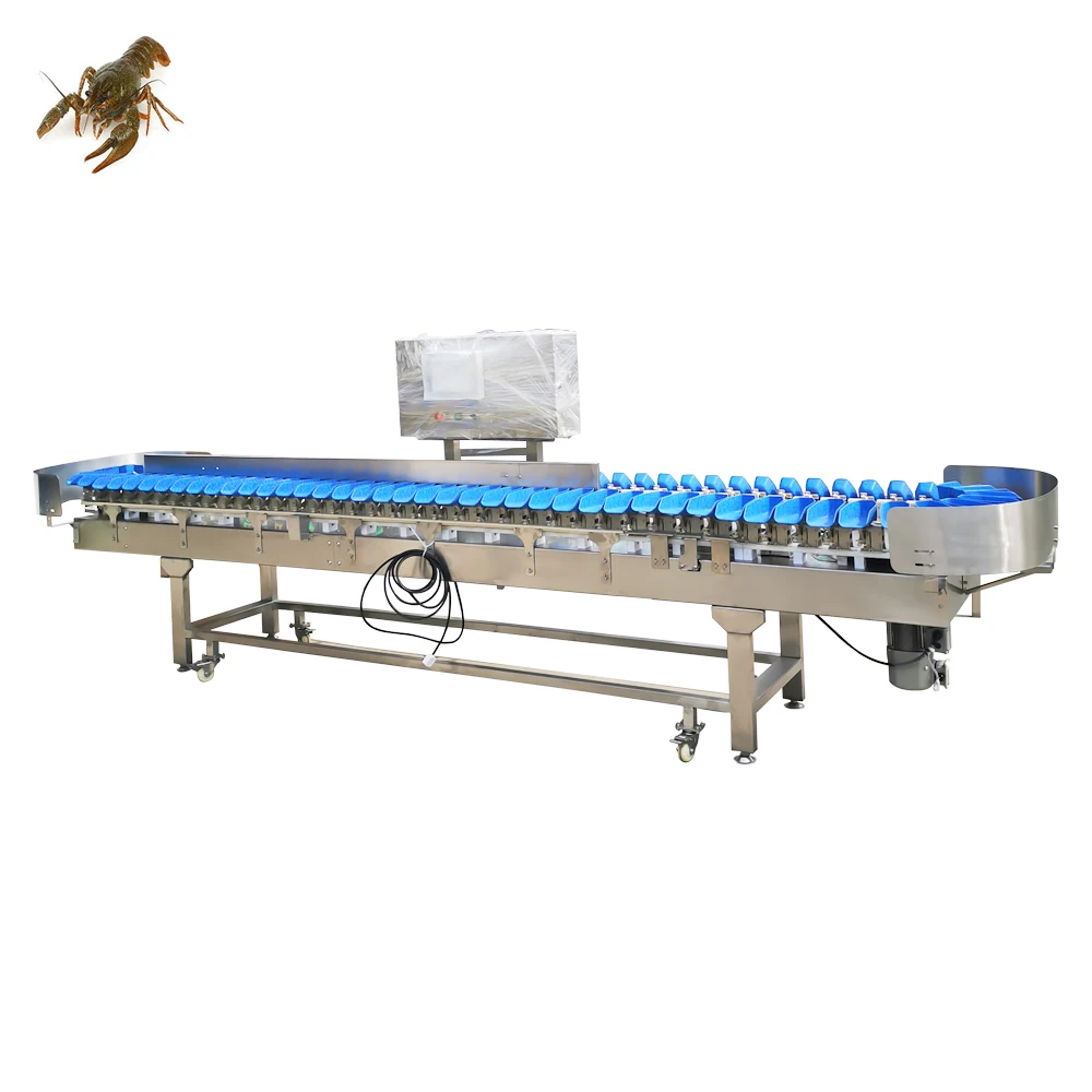 Развлекательное колесо многоуровневый сортировщик взвешивания с вибратором для сортировки овощей