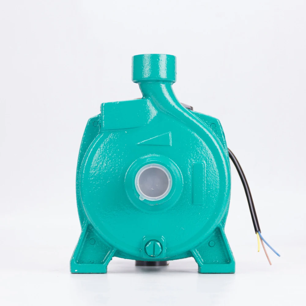 2HP Single-Phase 220V/50HZ CP40/160A Centrifugal Pump 1.5KW High Pressure Electric Pump for Irrigation Agriculture OEM Supported