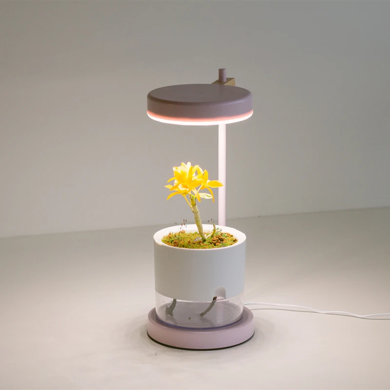 Suitable for planting and growing lamps of important flowers and plants