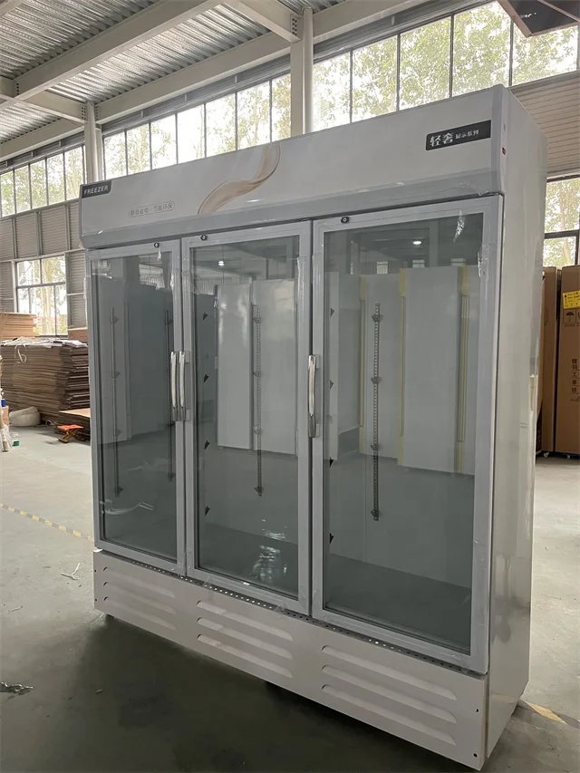 Factory Promoted type Commercial bottle cooler Beer chiller Beverage display refrigerator Double door Drinks cooler