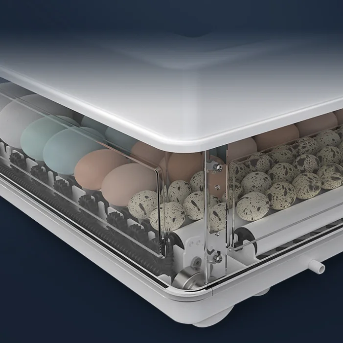 Weiwei small household multifunctional incubator pigeon eggs egg incubator