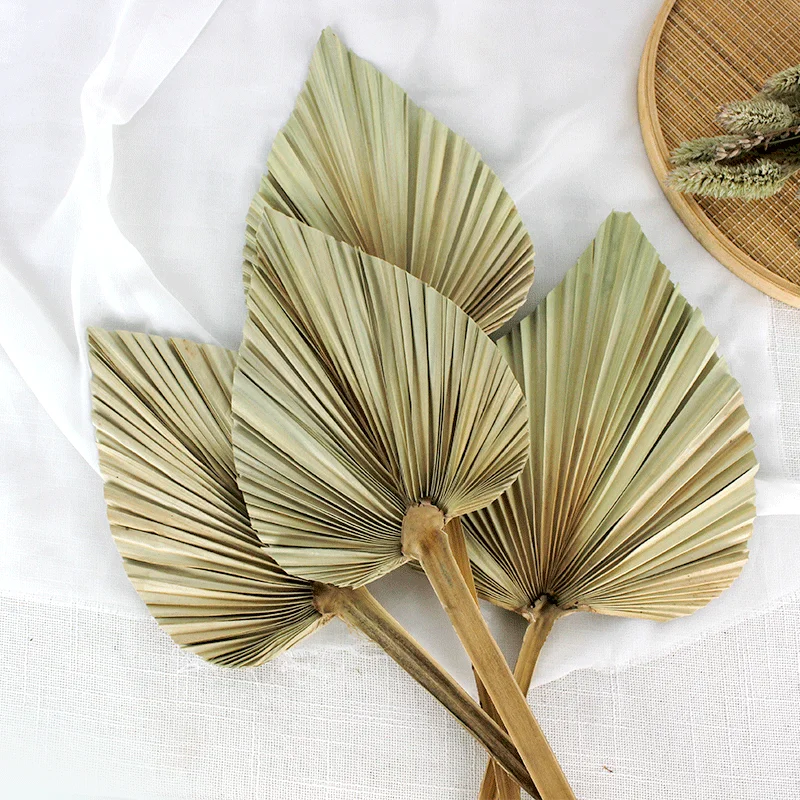 Wholesale wedding decoration natural dry palm leaf plate fan dried flower arrangement palm leaves for wedding decor