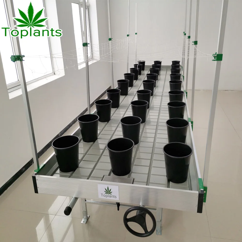 Rolling benches used greenhouse frames for sell