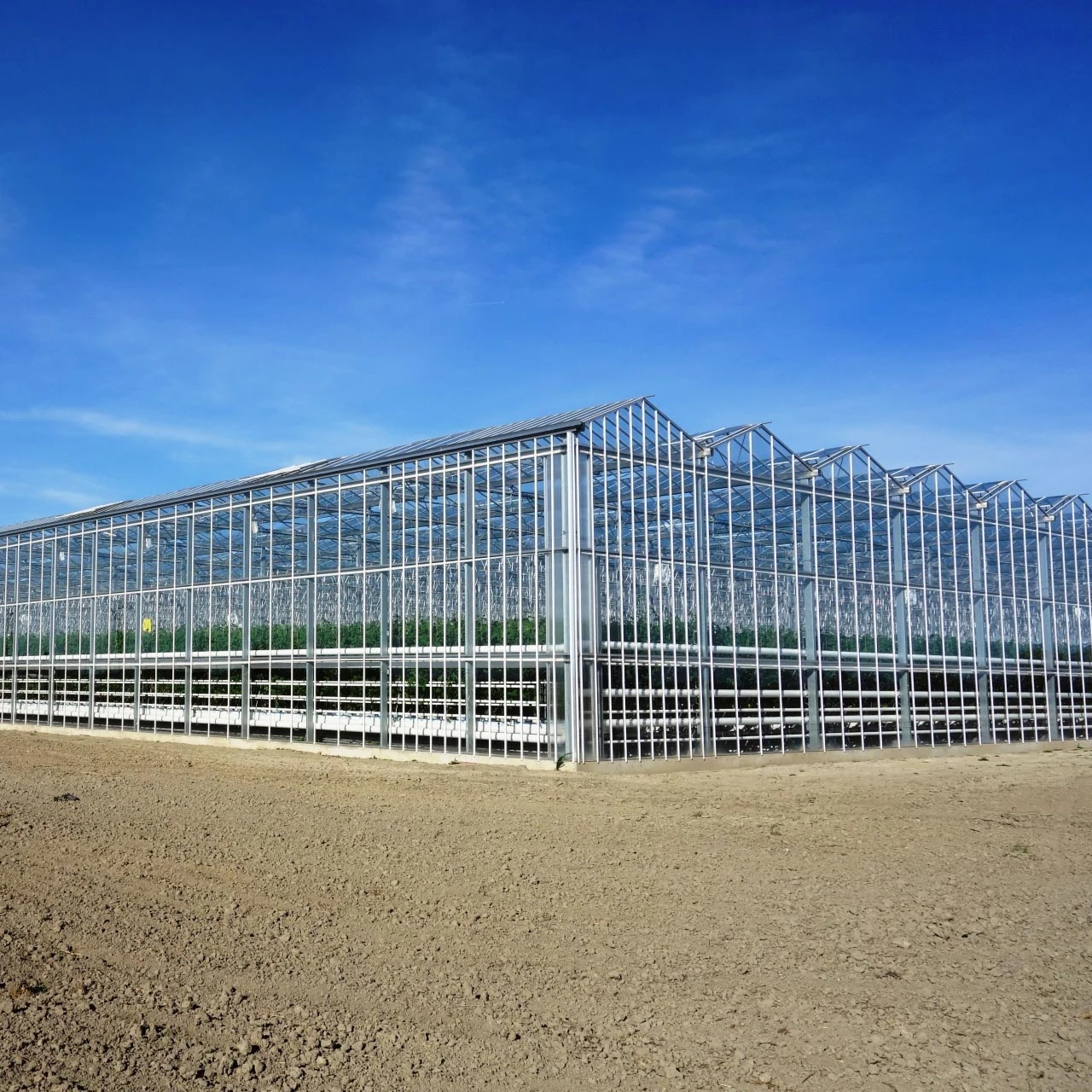 Venlo Commercial Agricultural High efficient venlo cheap intelligent agriculture multi-span glass hydroponic greenhouse