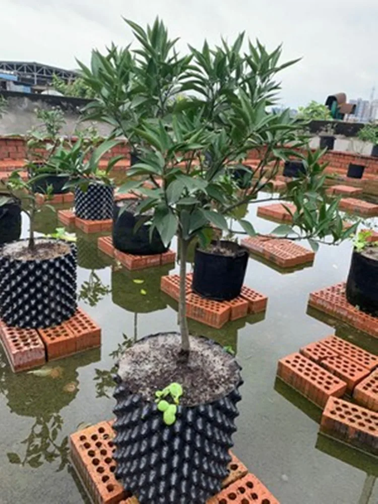 DD3194    Black Plastic Nursery Pot Root Control Fruit Vegetable Garden self-Planting Pot Air Root Pruning Pots