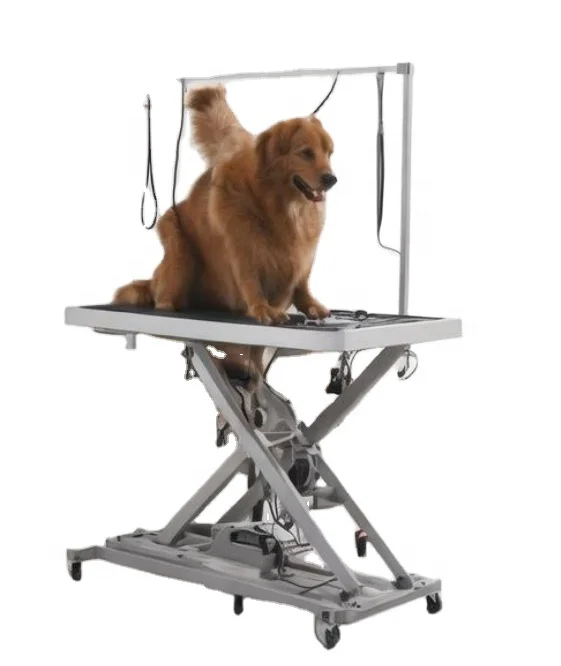 Dog Grooming Table