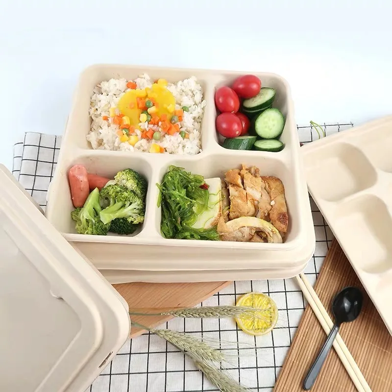 High Quality Wholesale Biodegradable Sugarcane Disposable Plates Lunch Trays Multi Compartments Bagasse Plate