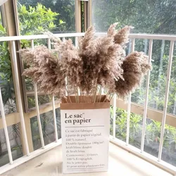 Cheapest decor flower natural pampas grass & dried reed straw grass for home decoration