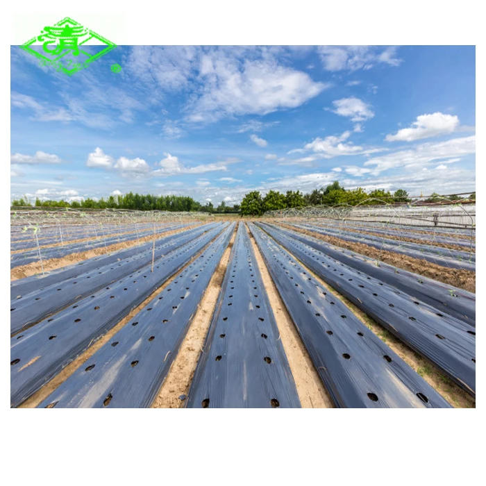 Black plastic ground cover/ weed control mulch layer