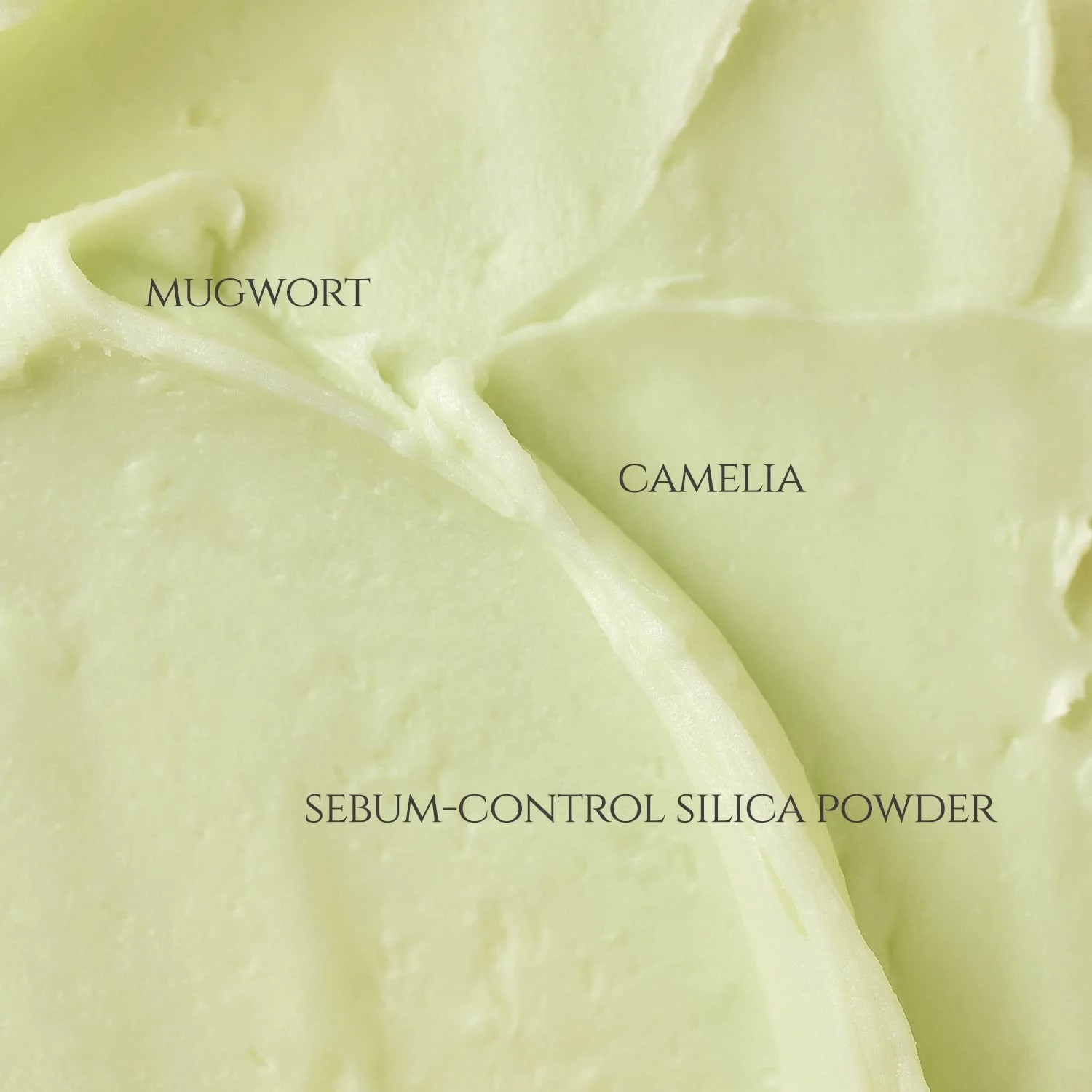 Korean Beauty of Joseon Sun Block Cream K Beauty Skin Care Wholesale Matte Sun Stick Sunscreen