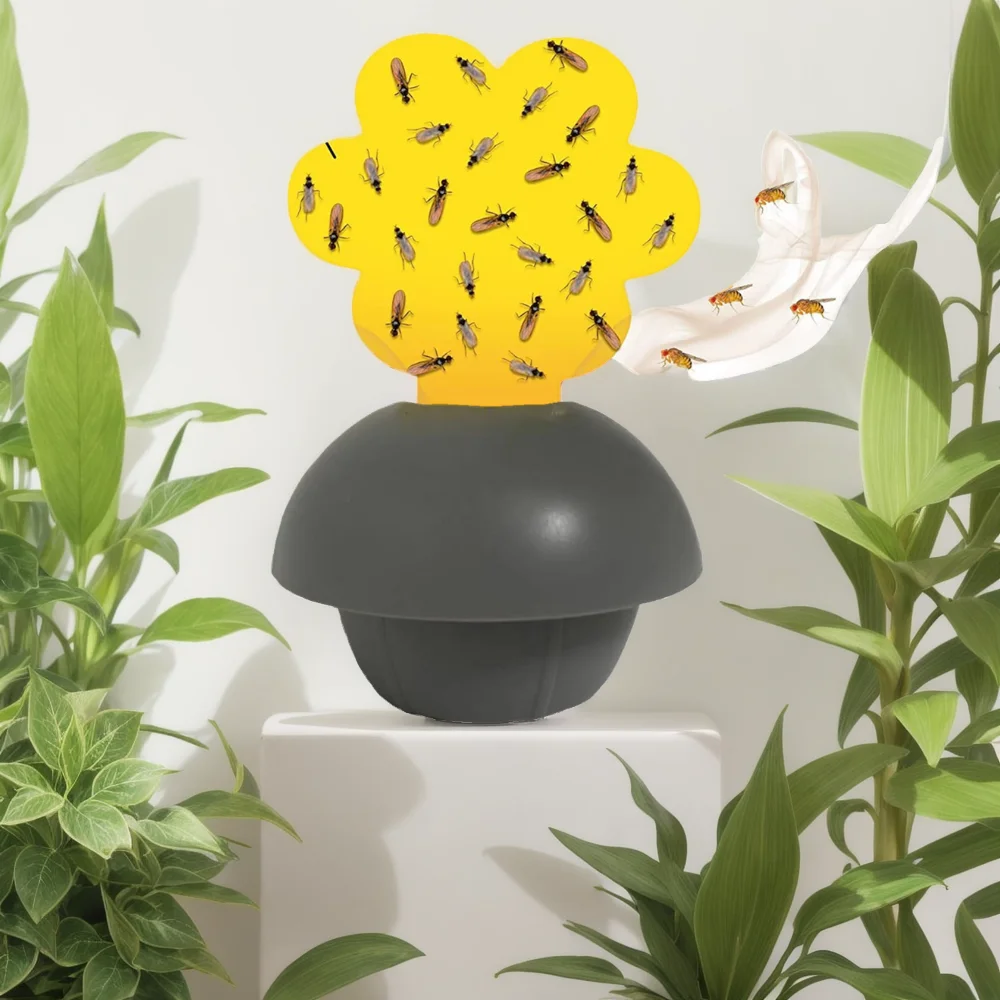Indoor and outdoor use fruit fly trap