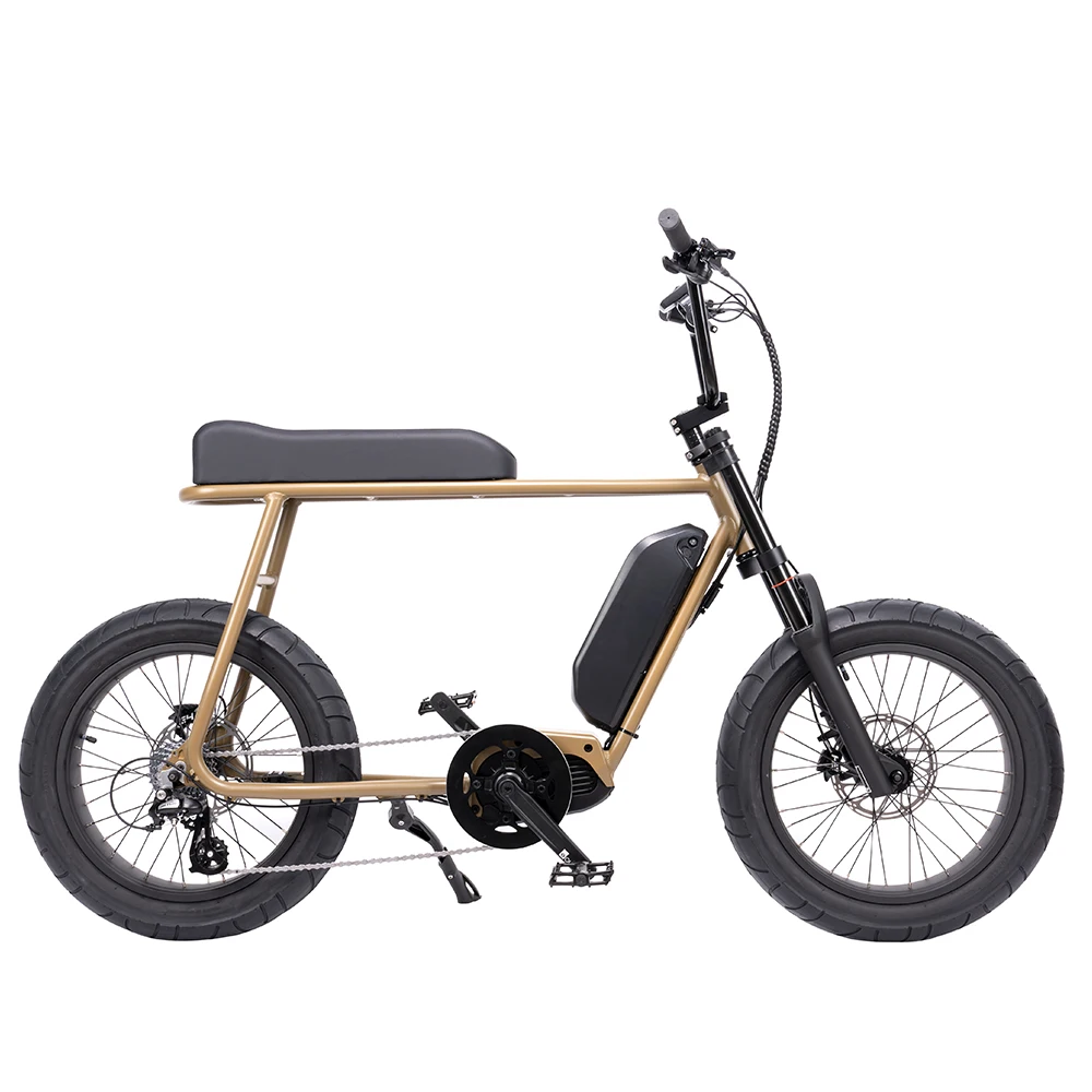 2024 Mario Vintage Retro Style Electric Bike with 250w Mid Motor and 36v lithium battery