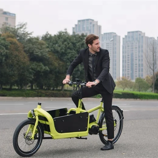 Customized 2-Wheel Electric Cargo Bike with 250W Brushless Motor 36V/48V Lithium Battery Power Supply Aluminum Frame Disc Brake